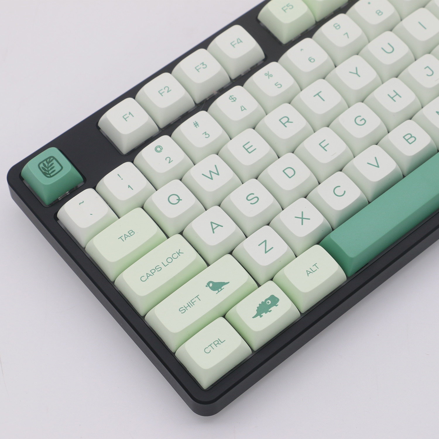 ชุดคีย์แคปลายดอกไม้และสัตว์น่า - Keycaps Xda Profile Pbt Dye Sub บทวิจารณ์และราคา