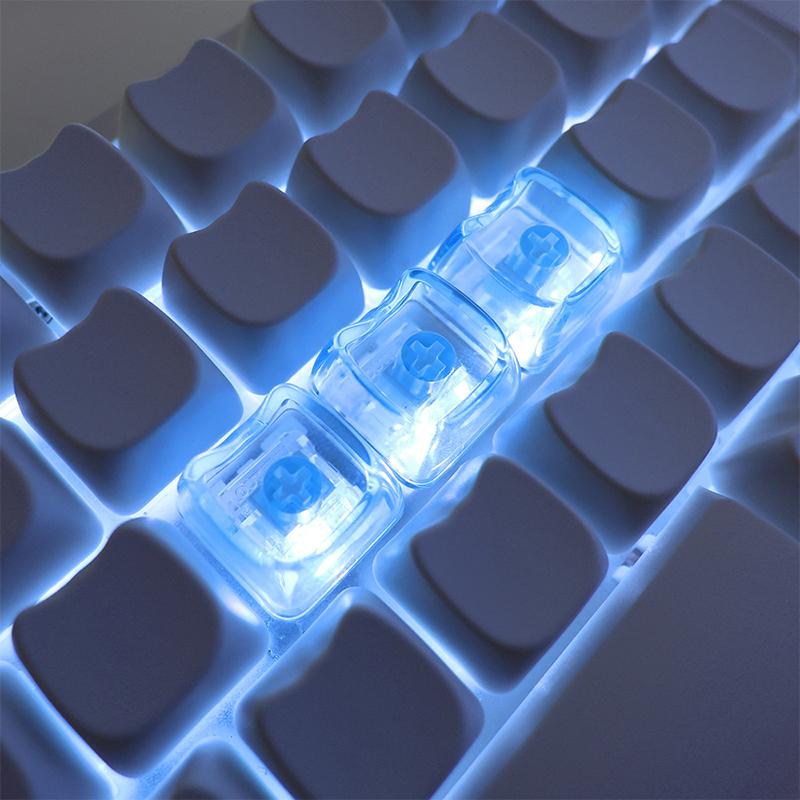 10/20 ชิ้น คีย์แคปใสรูปแมวน่าร - Keycaps Blank Pbt 1U บทวิจารณ์และราคา