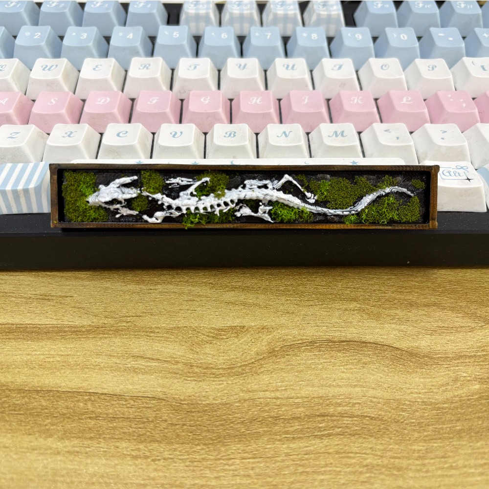 คีย์แคปธีมกระดูกมังกร วัสดุ PL - Keycaps Spacebar 6.25U Custom บทวิจารณ์และราคา